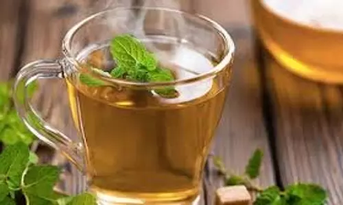 Health: क्या सुबह खाली पेट ग्रीन टी पीनी चाहिए? जानिए इस ड्रिंक को पीने का सही समय Health: क्या सुबह खाली पेट ग्रीन टी पीनी चाहिए? जानिए इस ड्रिंक को पीने का सही समय