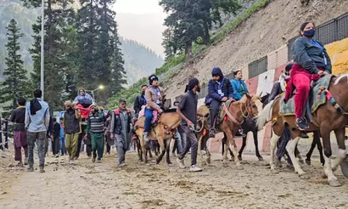 अमरनाथ पानी लिंगम: 20,000 से अधिक लोग दर्शन के लिए आते हैं अमरनाथ पानी लिंगम: 20,000 से अधिक लोग दर्शन के लिए आते हैं