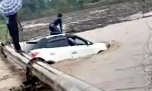 भूस्खलन से NH-30 बंद, मंडला में 20 मवेशी बहे भूस्खलन से NH-30 बंद, मंडला में 20 मवेशी बहे