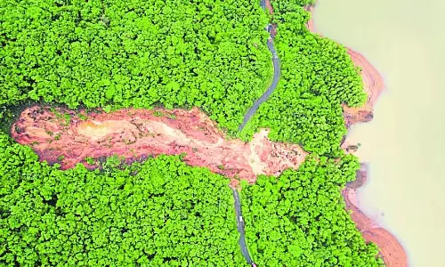 Karnataka : मदिकेरी, चिक्कमगलुरु में भारी बारिश हुई
