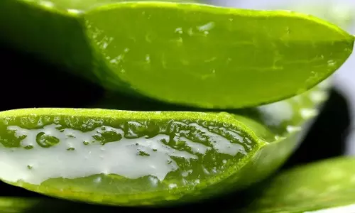 Skin Care: मानसून में फूल की तरह खिला-खिला दिखेगा आपका चेहरा, लगाएं ये प्राकृतिक चीजें