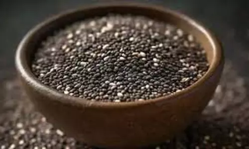 Health Tips: खाली पेट एक चम्मच चिया सीड्स आपको कई बीमारियों से बचाएगा, इन समस्याओं में माना जाता है वरदान Health Tips: खाली पेट एक चम्मच चिया सीड्स आपको कई बीमारियों से बचाएगा, इन समस्याओं में माना जाता है वरदान