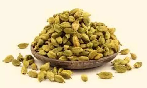 Health: गर्मियों में सुबह उठते ही खाएं ये दो चीजें, हर नस पोषण से भर जाएगी
