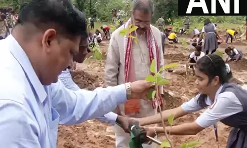 Dharmendra Pradhan एक पेड़ मां के नाम के तहत सामूहिक पौधारोपण अभियान में शामिल हुए Dharmendra Pradhan एक पेड़ मां के नाम के तहत सामूहिक पौधारोपण अभियान में शामिल हुए