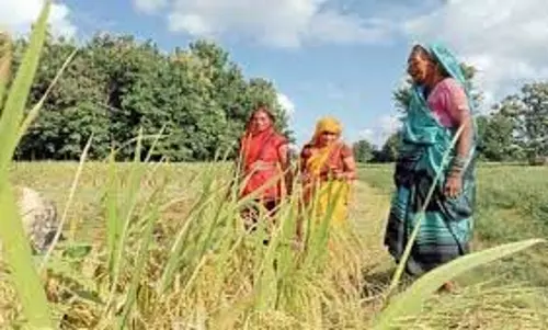 कृषि विज्ञान में महिलाओं की सफलता गर्व की बात: एलजी सिन्हा