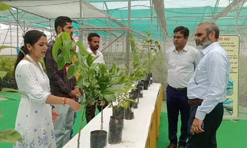 Haryana : लाडवा में तीन दिवसीय फल प्रदर्शनी शुरू