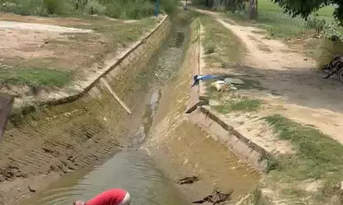 Lambi के किसानों की शिकायत, नहरों के अंतिम छोर तक पानी नहीं