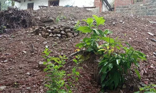 धीमी गति से बढ़ती आपदा, Mandi के गांव विनाश के कगार पर