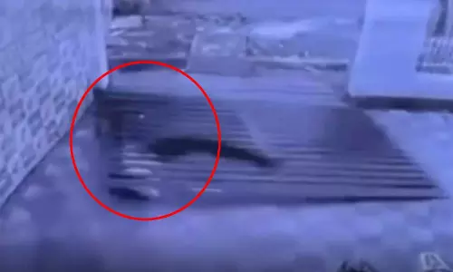 कैमरे में कैद हुआ मौत का Live मंजर! गेट के नीचे दबा सिक्योरिटी गार्ड कैमरे में कैद हुआ मौत का Live मंजर! गेट के नीचे दबा सिक्योरिटी गार्ड