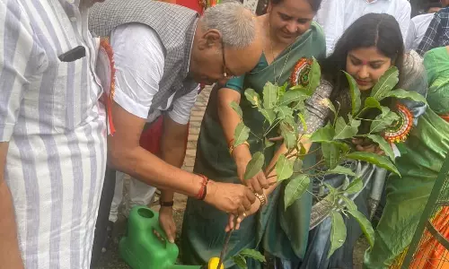 एक पेड़ माँ के नाम अभियान का हिस्सा बने सांसद बृजमोहन अग्रवाल