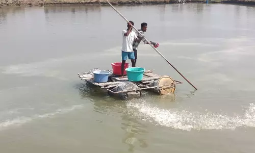 मत्स्य संपदा योजना से किसान की आय हुई दुगनी, CM विष्णुदेव साय के प्रति जताया आभार