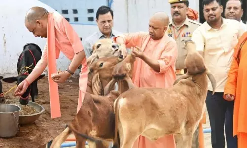 Lucknow: गौशालाओं में ग्रीन स्पेस, योगी सरकार बनाएगी ‘गोपाल वन’ Lucknow: गौशालाओं में ग्रीन स्पेस, योगी सरकार बनाएगी ‘गोपाल वन’