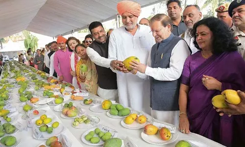 Pinjore के यादवेंद्र गार्डन में आम मेले की शुरुआत, 200 किस्मों की प्रदर्शनी Pinjore के यादवेंद्र गार्डन में आम मेले की शुरुआत, 200 किस्मों की प्रदर्शनी