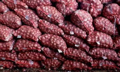 Maharashtra के प्याज किसानों ने एफपीओ खरीद समाप्त करने और एपीएमसी मार्ग अपनाने की मांग की Maharashtra के प्याज किसानों ने एफपीओ खरीद समाप्त करने और एपीएमसी मार्ग अपनाने की मांग की