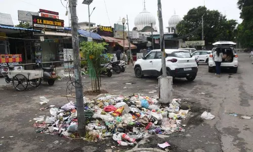 हड़ताल से Mohali में गंदगी, बाजारों और सड़कों पर कूड़े के ढेर