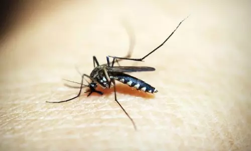 इस साल GMCH में जापानी इंसेफेलाइटिस से 13 लोगों की मौत, 1 अप्रैल से अब तक 50 मामलों की पुष्टि इस साल GMCH में जापानी इंसेफेलाइटिस से 13 लोगों की मौत, 1 अप्रैल से अब तक 50 मामलों की पुष्टि