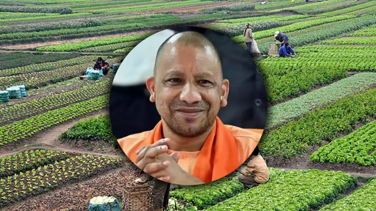 Lucknow: सरकारी पहल से प्राकृतिक खेती को मिलेगा व्यापक प्रचार Lucknow: सरकारी पहल से प्राकृतिक खेती को मिलेगा व्यापक प्रचार