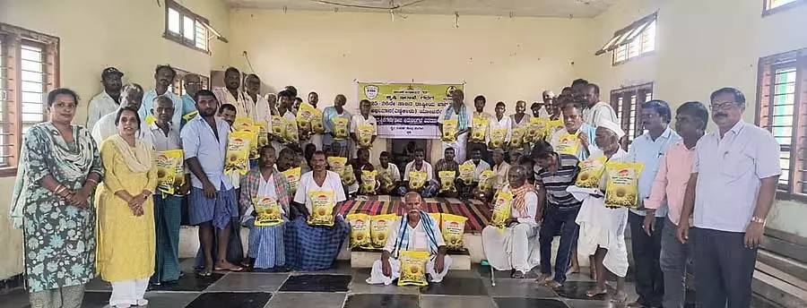 Karnataka : सरकार तिलहन की खेती को प्रोत्साहित कर रही है Karnataka : सरकार तिलहन की खेती को प्रोत्साहित कर रही है