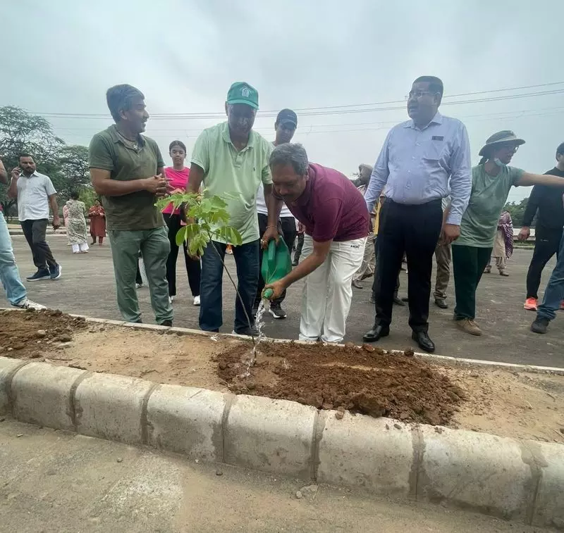 उच्च न्यायालय के न्यायाधीशों ने स्वच्छता अभियान में भाग लेकर 100 से अधिक पौधे लगाए उच्च न्यायालय के न्यायाधीशों ने स्वच्छता अभियान में भाग लेकर 100 से अधिक पौधे लगाए