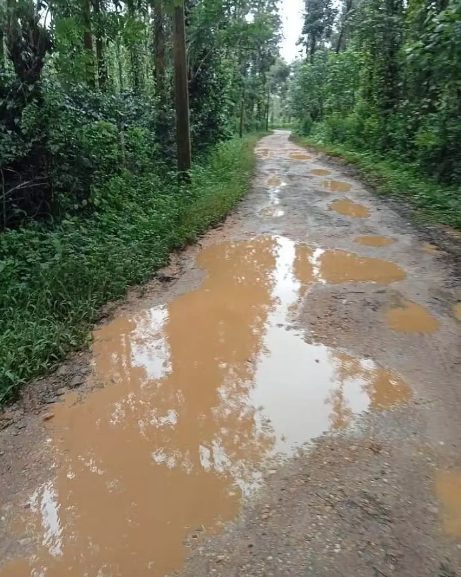 Alur : मेगाटावल्ली रोड जर्जर Alur : मेगाटावल्ली रोड जर्जर