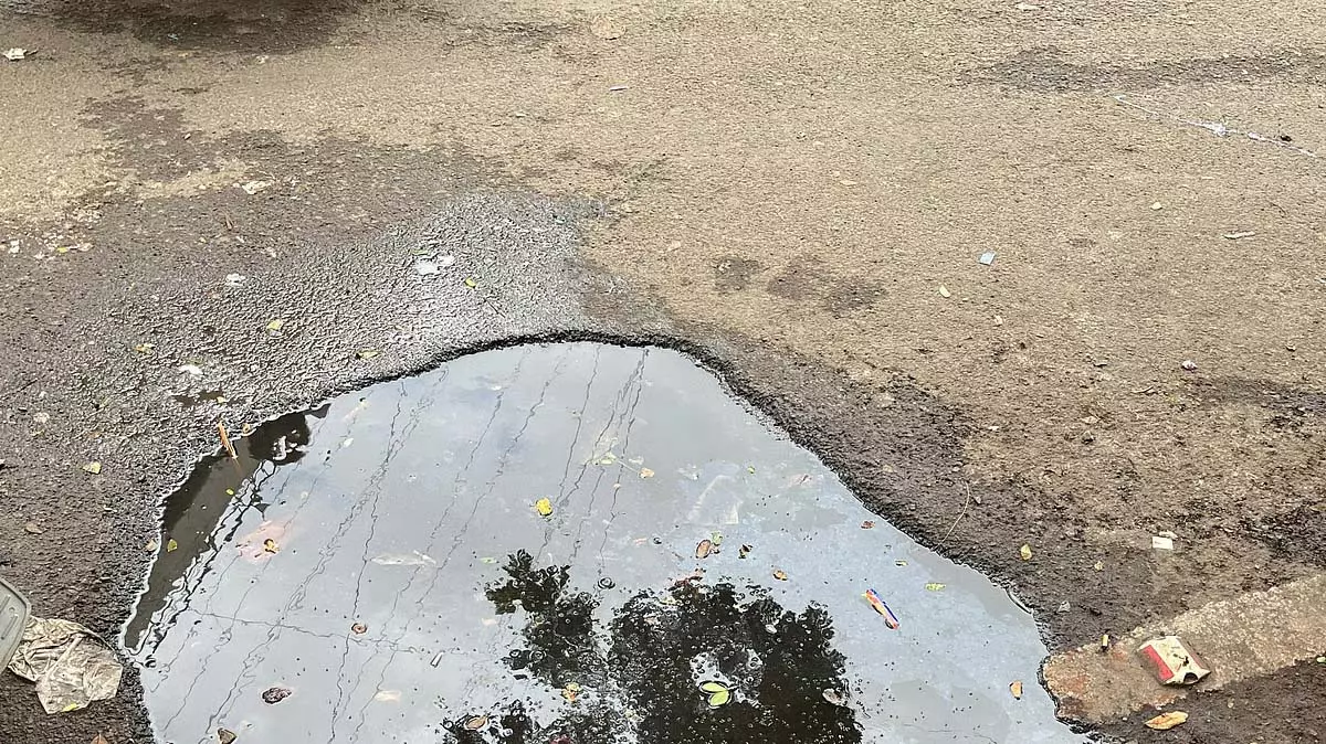 कल्याणी नगर में मच्छरों का प्रकोप, PMC से तत्काल कार्रवाई की मांग कल्याणी नगर में मच्छरों का प्रकोप, PMC से तत्काल कार्रवाई की मांग