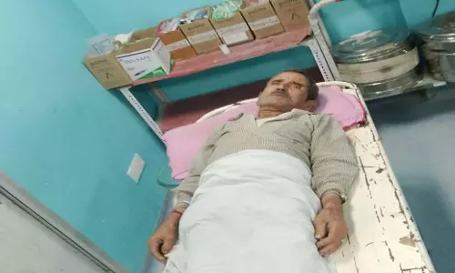 Himachal: होली में भालू के हमले में व्यक्ति घायल