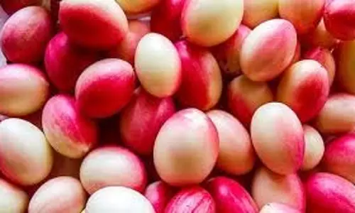 Recipe: करोंदा का मौसम आ गया है, बनाएं इसका तीखा-मसालेदार अचार