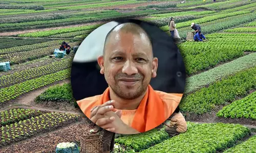 Lucknow: सरकारी पहल से प्राकृतिक खेती को मिलेगा व्यापक प्रचार Lucknow: सरकारी पहल से प्राकृतिक खेती को मिलेगा व्यापक प्रचार