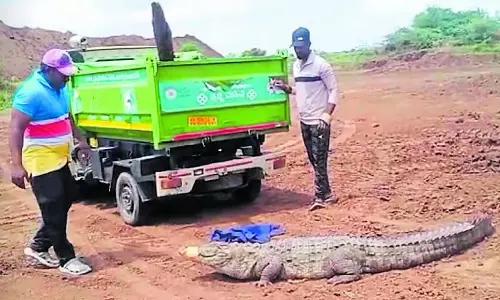 Bagalkot : मानव-मगरमच्छ संघर्ष को रोकने के लिए बाड़ लगाई जाएगी