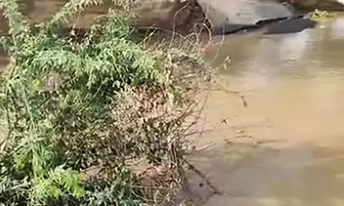 Sirsa में घग्गर नहर टूटने से सड़क धंसने से बाइक सवार की मौत Sirsa में घग्गर नहर टूटने से सड़क धंसने से बाइक सवार की मौत