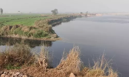 दिल्ली चुनाव की लहर ने हरियाणा को यमुना प्रदूषण से निपटने की ओर धकेला दिल्ली चुनाव की लहर ने हरियाणा को यमुना प्रदूषण से निपटने की ओर धकेला