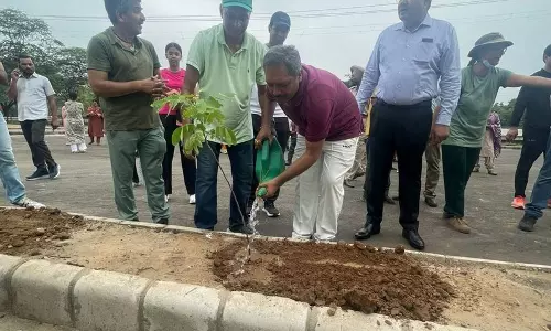 उच्च न्यायालय के न्यायाधीशों ने स्वच्छता अभियान में भाग लेकर 100 से अधिक पौधे लगाए
