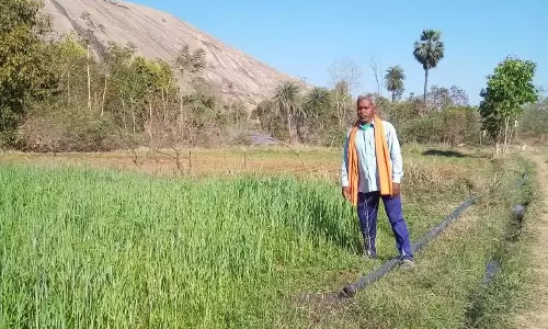 कृषक सुखसाय रबी और खरीफ फसल लेकर हो रहे लाभान्वित कृषक सुखसाय रबी और खरीफ फसल लेकर हो रहे लाभान्वित