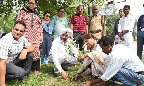 Jalandhar: न्यायिक अधिकारियों ने ‘मिशन एक जज, एक पेड़’ के तहत वृक्षारोपण अभियान का नेतृत्व किया Jalandhar: न्यायिक अधिकारियों ने ‘मिशन एक जज, एक पेड़’ के तहत वृक्षारोपण अभियान का नेतृत्व किया