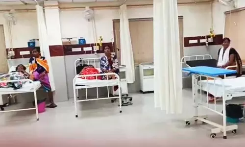 Rayagada : जंगली मशरूम करी खाने से 10 लोग अस्पताल में भर्ती Rayagada : जंगली मशरूम करी खाने से 10 लोग अस्पताल में भर्ती