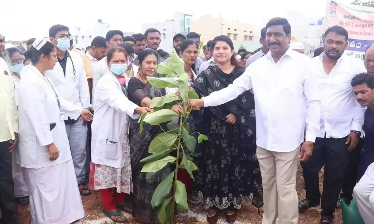 Andhra: मंत्री ने जन्मदिन पर पौधारोपण अभियान की शुरुआत की Andhra: मंत्री ने जन्मदिन पर पौधारोपण अभियान की शुरुआत की