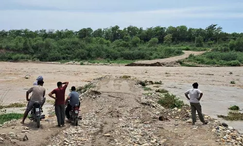 रोपड़ में नदी की तबाही, पुल बहा 100 गांवों की आवाजाही ठप रोपड़ में नदी की तबाही, पुल बहा 100 गांवों की आवाजाही ठप