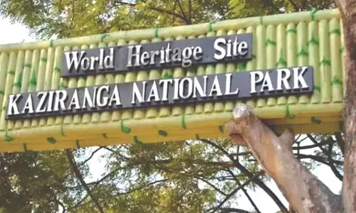 RECL काजीरंगा के अग्रिम पंक्ति कर्मचारियों को सहायता प्रदान करेगा