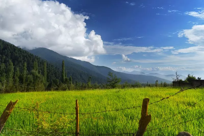 J&K: सड़क संपर्क से डोडा के अनोखे पर्यटन स्थल पर लोगों का ध्यान आकर्षित होगा J&K: सड़क संपर्क से डोडा के अनोखे पर्यटन स्थल पर लोगों का ध्यान आकर्षित होगा