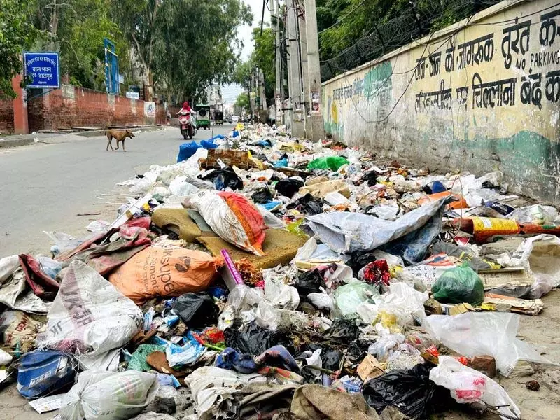 नए टेंडर, वही पुरानी गंदगी रोहतक की सड़कों पर फिर बिखरा कूड़ा नए टेंडर, वही पुरानी गंदगी रोहतक की सड़कों पर फिर बिखरा कूड़ा