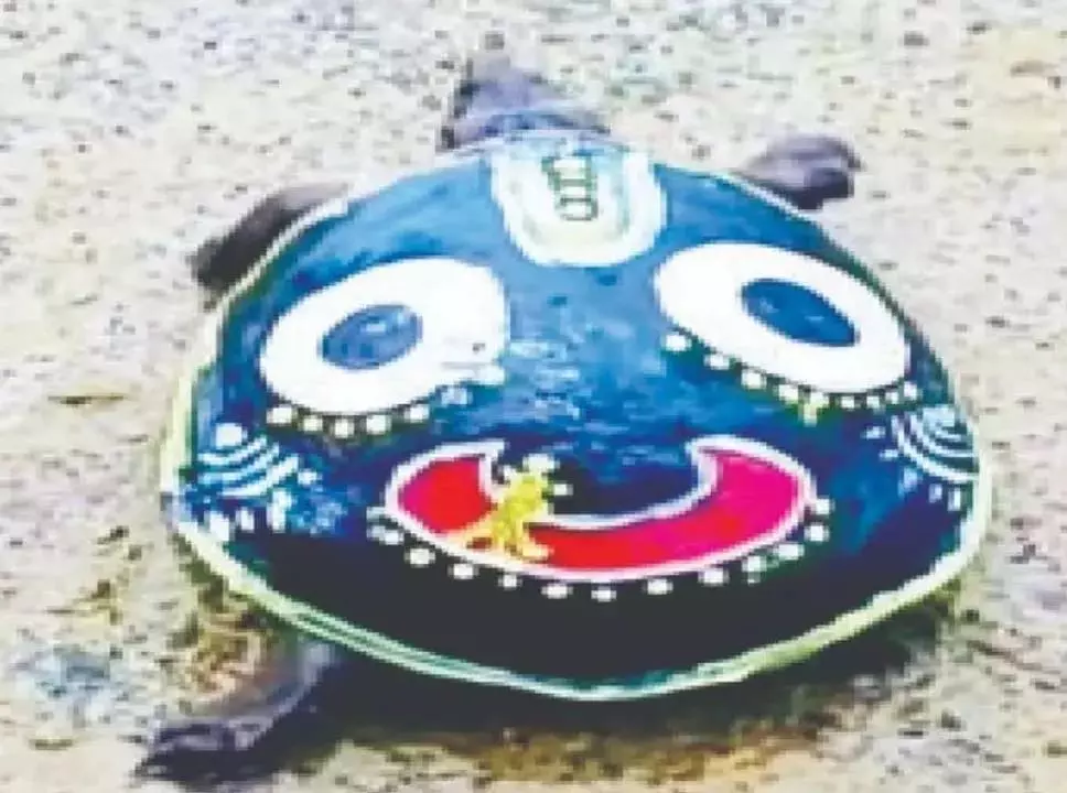 Odisha : यूट्यूबर ने कछुए के खोल पर भगवान जगन्नाथ की तस्वीर बनाकर मुसीबत में फंसे Odisha : यूट्यूबर ने कछुए के खोल पर भगवान जगन्नाथ की तस्वीर बनाकर मुसीबत में फंसे