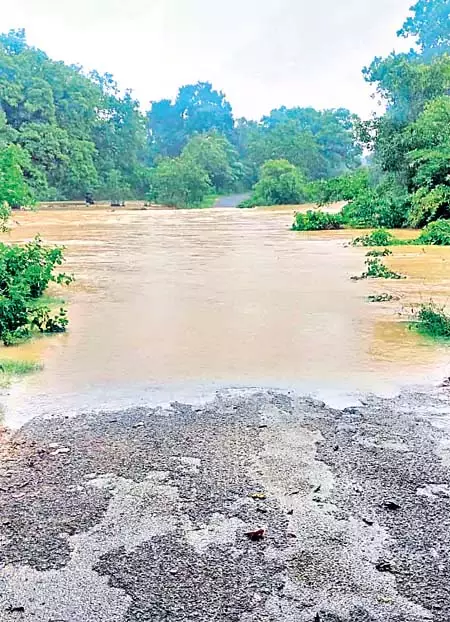 Odisha : झारसुगुड़ा जिले में बारिश का कहर Odisha : झारसुगुड़ा जिले में बारिश का कहर