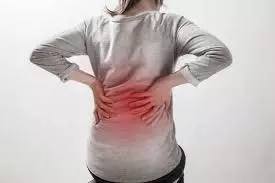 Health: कमर, घुटनों और पीठ में दर्द की असली वजह बन रही है बोन डेंसिटी की कमी, जानिए कैसे बचें Health: कमर, घुटनों और पीठ में दर्द की असली वजह बन रही है बोन डेंसिटी की कमी, जानिए कैसे बचें