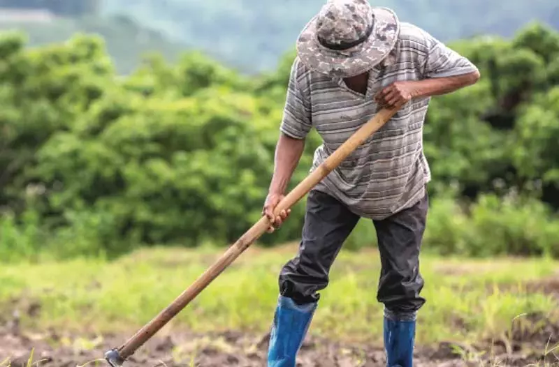 भारतीय किसानों को जलवायु संकट से निपटने के लिए 75 अरब डॉलर की जरूरत: IFAD अध्यक्ष भारतीय किसानों को जलवायु संकट से निपटने के लिए 75 अरब डॉलर की जरूरत: IFAD अध्यक्ष