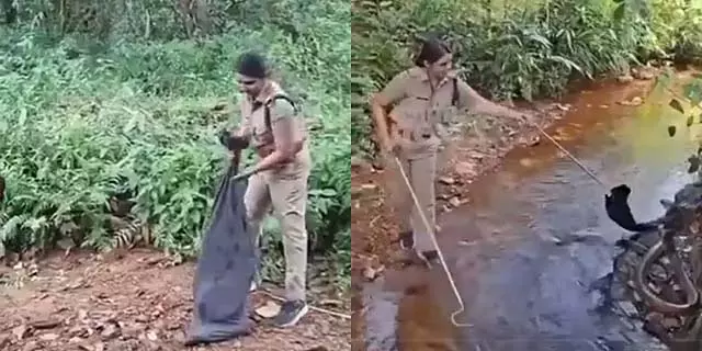 18 फुट लंबा किंग कोबरा केरल वन विभाग की महिला गार्ड पर हमला 18 फुट लंबा किंग कोबरा केरल वन विभाग की महिला गार्ड पर हमला