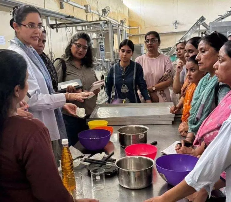 Ludhiana: 27 महिलाओं, उत्पादकों को फलों, सब्जियों के संरक्षण का प्रशिक्षण दिया गया Ludhiana: 27 महिलाओं, उत्पादकों को फलों, सब्जियों के संरक्षण का प्रशिक्षण दिया गया