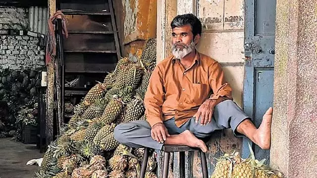भारी बारिश: अनानास की आपूर्ति मांग के अनुरूप नहीं, किसान संकट में भारी बारिश: अनानास की आपूर्ति मांग के अनुरूप नहीं, किसान संकट में