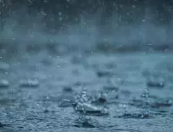 तेलंगाना में भारी बारिश का अलर्ट तेलंगाना में भारी बारिश का अलर्ट