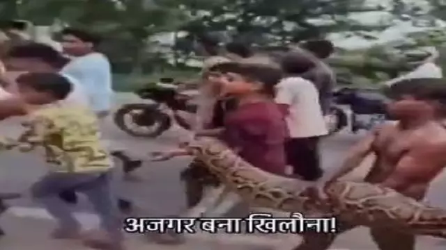 15 फुट अजगर संग बच्चों की रील Viral, नंगे हाथों फोटो पर मचा बवाल 15 फुट अजगर संग बच्चों की रील Viral, नंगे हाथों फोटो पर मचा बवाल