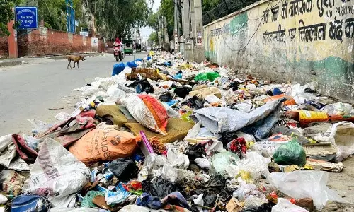नए टेंडर, वही पुरानी गंदगी रोहतक की सड़कों पर फिर बिखरा कूड़ा